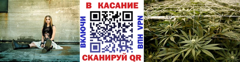 Купить наркотики цена Бийск Cocaine  Альфа ПВП  Псилоцибиновые грибы  Меф мяу мяу  ГАШ 