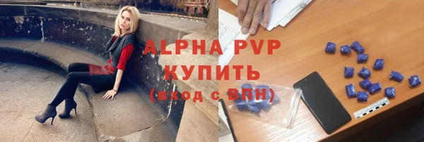 индика Гусь-Хрустальный