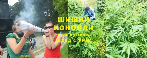 первитин Дмитриев
