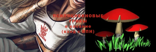 дурь Дмитров
