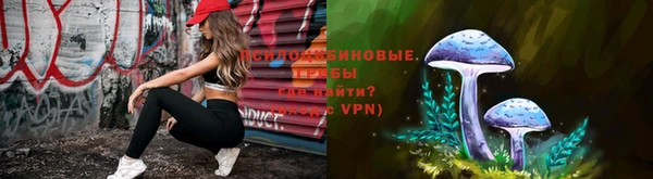 первитин Дмитриев
