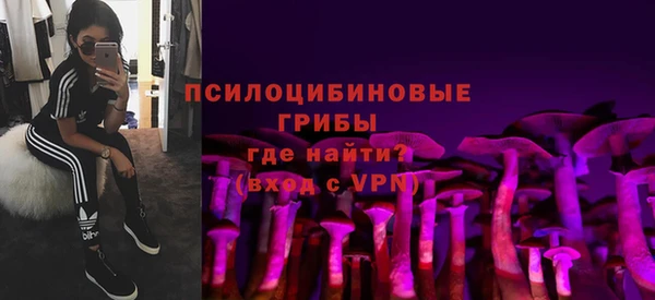 дурь Дмитров