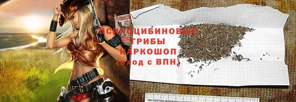 первитин Дмитриев