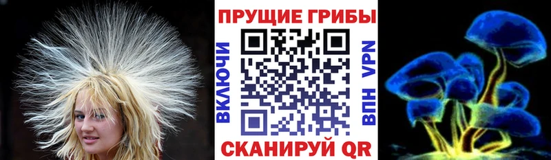купить наркоту  Бийск  Псилоцибиновые грибы мицелий 