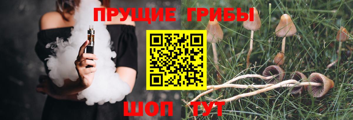 Бийск  Галлюциногенные грибы Magic Shrooms  Вход с VPN 